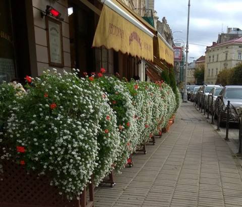 Курс валют у Львові на 4 вересня