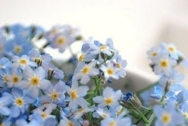 Перший день весни у Львові та області відзначиться мокрим снігом