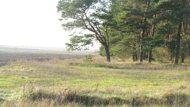 У Львові  планують запровадити посаду садівничого