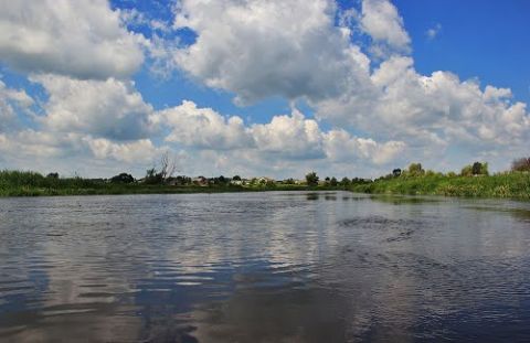 У річці Західний Буг втопився мешканець Сокальщини