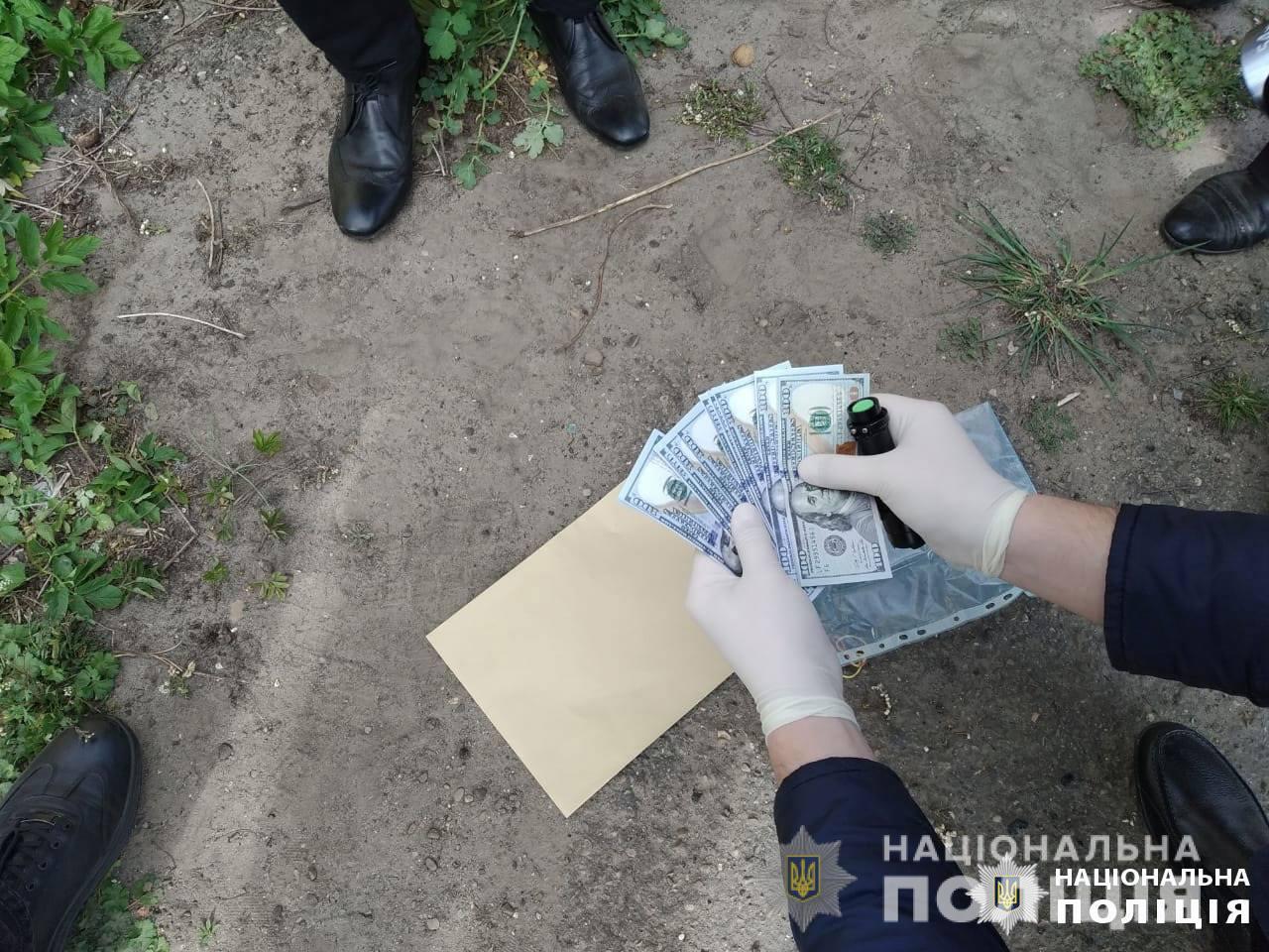 Голову сільради на Львівщині викрили на хабарі у 5 000 доларів