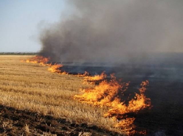 На Львівщині під час спалення стерні постраждала людина