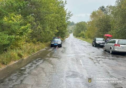 На Львівщині водій легковика на смерть збив пішохода і втік