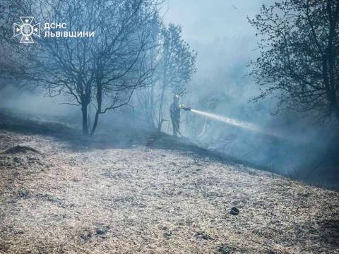За добу на Львівщині зафіксували майже 20 пожеж сухостою