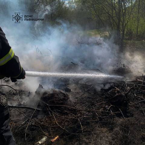 За добу на Львівщині зафіксували понад 10 пожеж сухостою