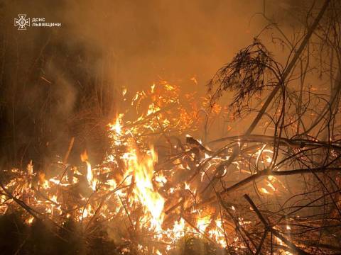 За добу на Львівщині зафіксували майже 30 пожеж сухостою