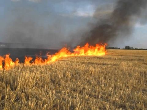 На Львівщині зафіксовано 33 пожежі сухостою