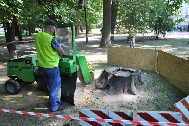 Львівських комунальників навчили подрібнювати пеньків