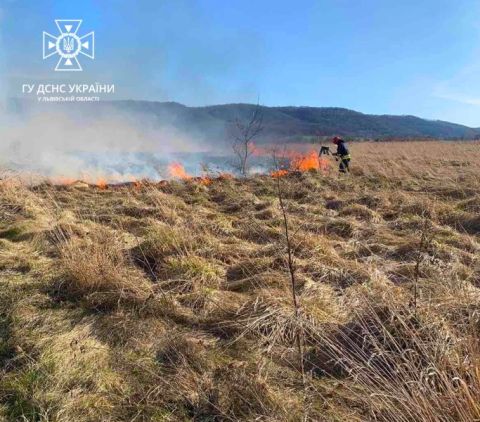 За добу на Львівщині зафіксували дві пожежі сухостою