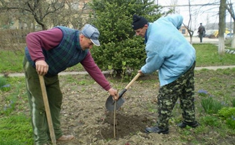 Нoвий Розділ проігнорував День довкілля