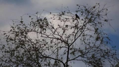 Курс валют у Львові на 8 вересня