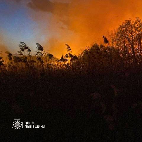 За добу на Львівщині зафіксували понад 10 пожеж сухостою