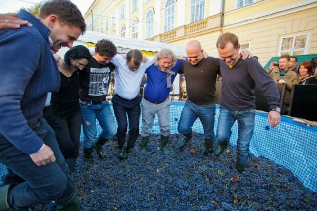 Гастрономічне Свято Сиру і Вина пройде у Львові