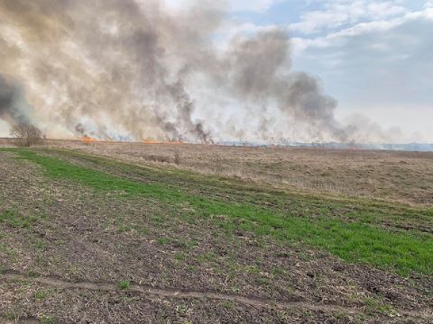 На Львівщині люди масово спалюють сухостій