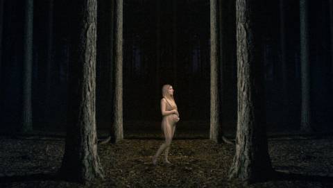 Погода на вівторок: ясно, +28°C