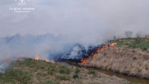 За добу на Львівщині зафіксували три пожежі сухостою