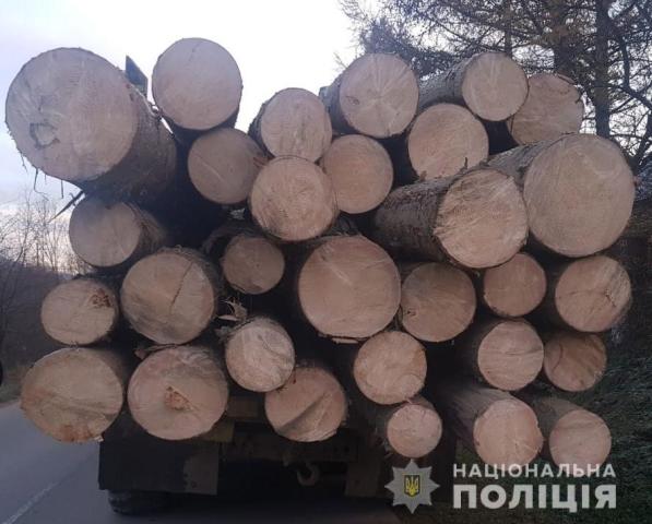 На Сколівщині виявили вантажівку з нечіпованими колодами дерев