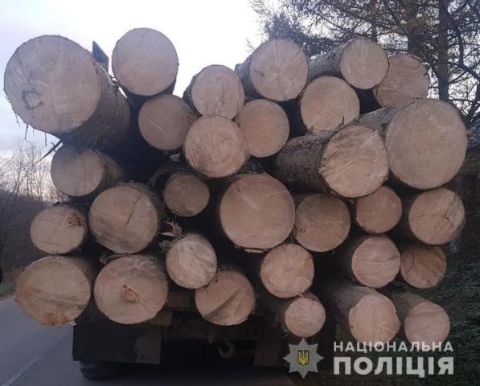 На Сколівщині виявили вантажівку з нечіпованими колодами дерев