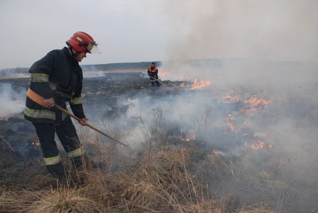 На Львівщині згоріло 30 тис кв.м сухостою