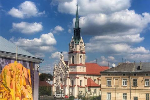 До Стрийської райради проходять десять партій