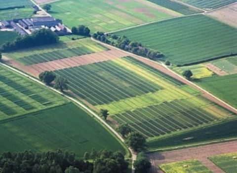 На Львівщині можна зареєструвати земельну ділянку за кілька хвилин