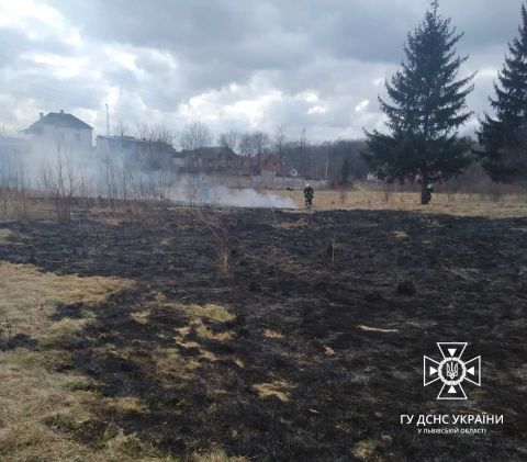 У Самборі біля житлових будинків виникла пожежа сухостою