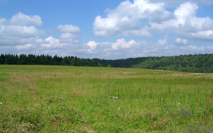 На Львівщині продали землю приватникам за 117 тис грн.