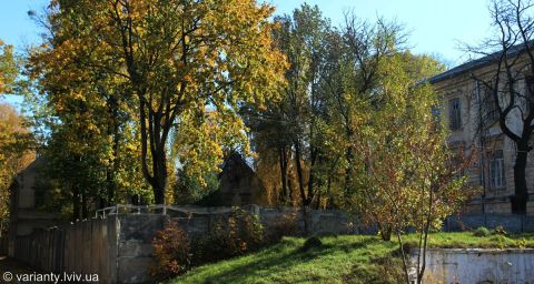 У Львові розробили рішення про оголошення парку на Кульпаркові пам'яткою паркового мистецтва