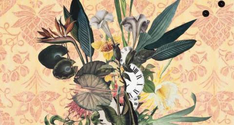 Погода на п'ятницю: ясно, +33°C