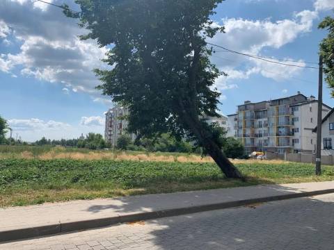 Львівська компанія за 30 мільйонів купила землю для житлової забудови у Давидові
