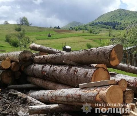 На Турківщині виявили майже сто немаркованих колоди дерев