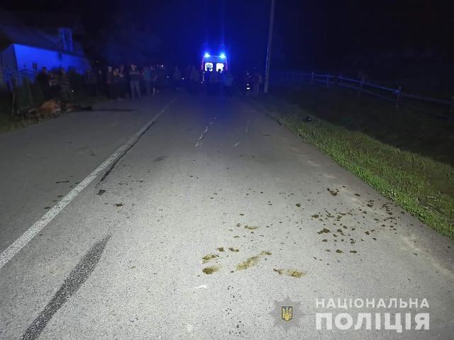 На Самбірщині мотоцикліст наїхав на коня і помер від отриманих травм