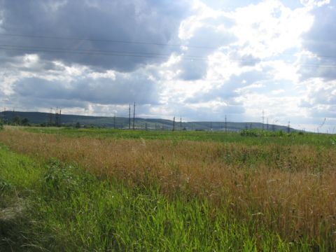 На Львівщині продали понад 950 земельних паїв