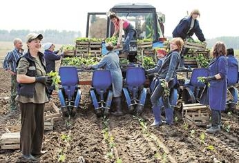 Міськрада Львова надаватиме землекористувачам пільги у розмірі 60%