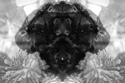 Andrew Deme "Vnutrishnik" (2026)