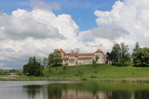 Свірзький замок планують перетворити на культурно-мистецький центр