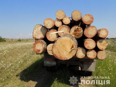 На Яворівщині виявили вантажівку з нечіпованими колодами дерев