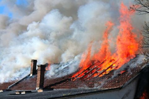 У Бродах внаслідок пожежі знищено столярний цех