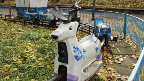 24 листопада: найпопулярніші запити у Google