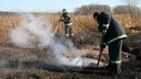 За добу у двох районах Львівщини горів сухостій