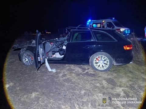У Шептицькому районі в ДТП з вантажівкою постраждали водій та пасажир Audi