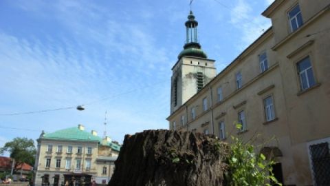 Львів побачить площу Митну оновленою вже наступного літа