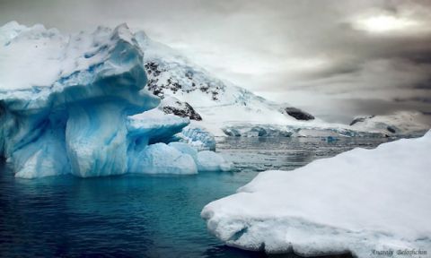 Україна блокує створення заповідників біля Антарктиди – Focus