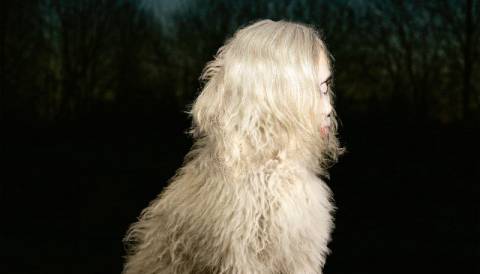 Погода на вівторок: без опадів, +5°C