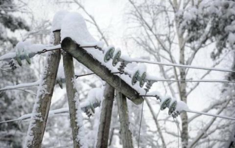 Негода знеструмила 149 населених пунктів на Львівщині