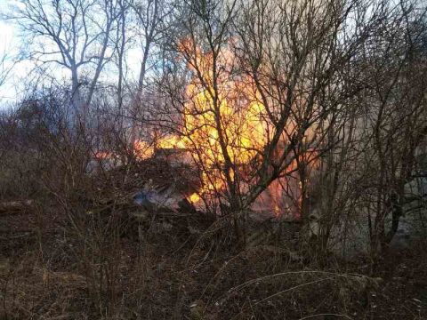 У Городку пожежа знищила дві будівлі з дровами