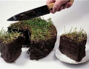 Гірняк розбереться із землями у Снопківському парку, виділеними депутатам Львівської міськради