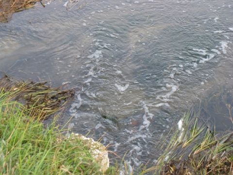 У річці Опір під час купання втопився чоловік