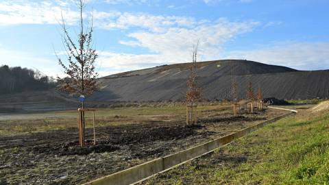 У Львові завершують другий етап рекультивації Грибовицького сміттєзвалища