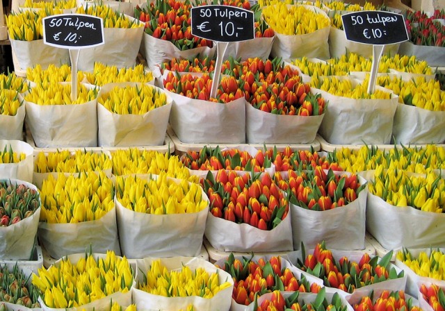 Зі львівського торгівельного центру викрали квітів майже на 3000 гривень